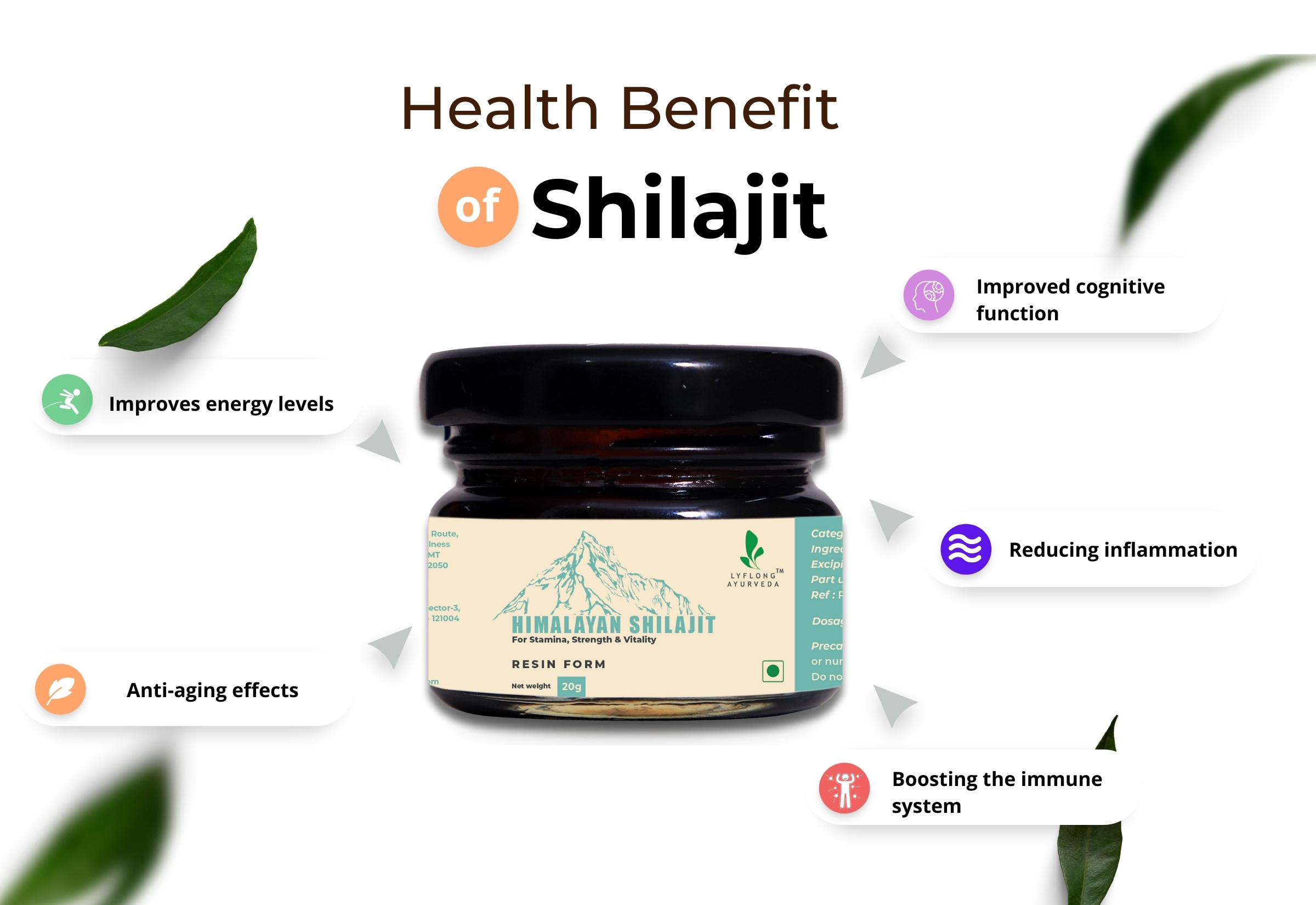 Lyflong Ayurveda Pure Himalayan Shilajit